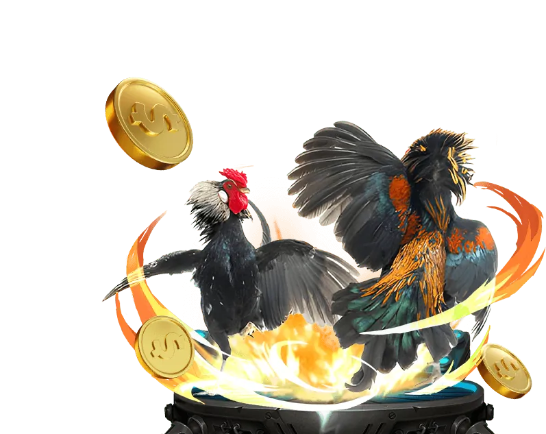 Cá cược bóng rổ tại iWin